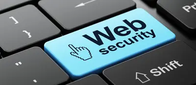 A Open Source Web Vulnerability Scanner - Tulpar