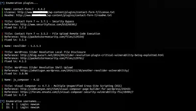 Black-Box Remote WordPress Security Scanner - WPSeku