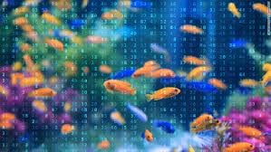 Hackers attack Casino through its Fish Tank