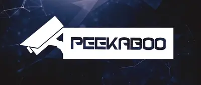 Critical Peekaboo Bug in NVR Surveillance System