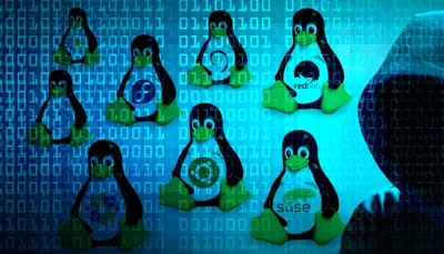 DoS vulnerabilities Affects Linux Kernel and is still unpatched