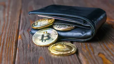 New BHUNT Stealer targets cryptocurrency wallets