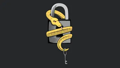 PyLocky Ransomware Decryptor Released