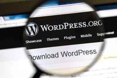 WordPress plugin vulnerability let user take over entire sites
