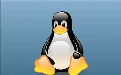 Linux can be Hacked by opening a File in Vim or Neovim Editor