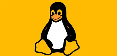 New Linux Vulnerability lets attackers Hijack Encrypted VPN Connections