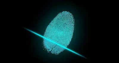 Fake 3D printed fingerprints trick biometric scanners