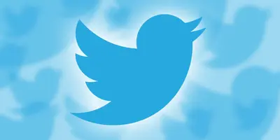 Twitter discloses Firefox bug