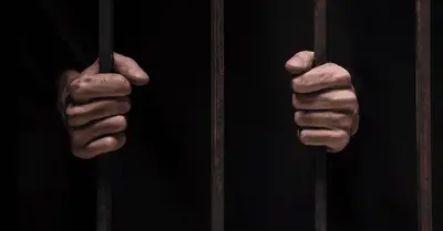 Dark Overlord hacker jailed for five years in US