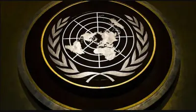 Over 100k UN Employee records accessed by researchers