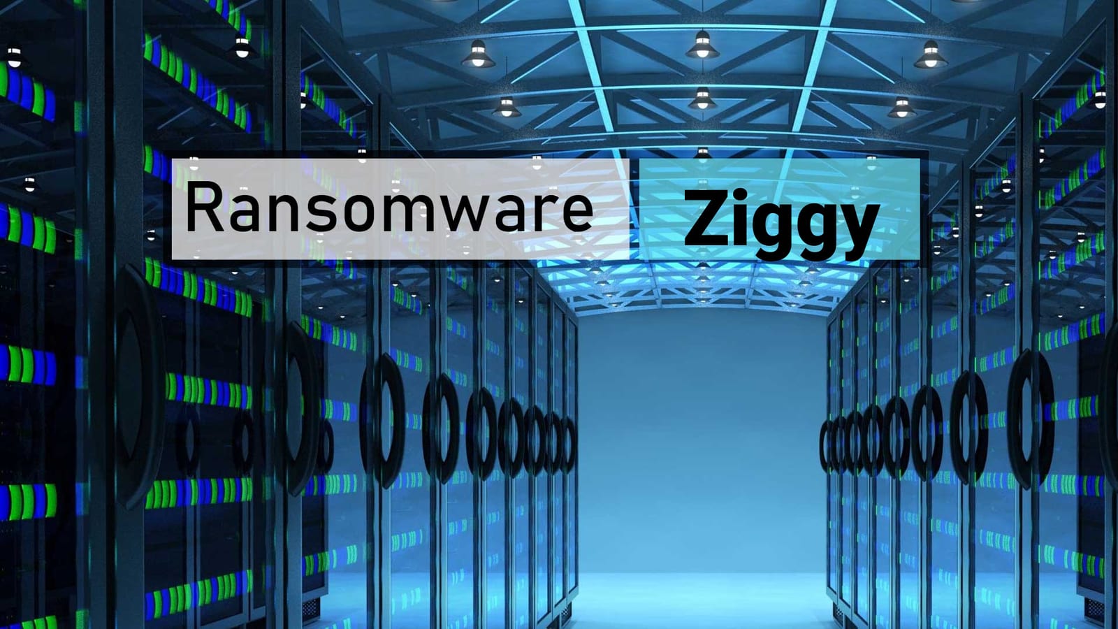Ziggy Ransomware admin is refunding victims their ransom payments