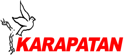 DDoS attacks target the Philippine human rights alliance Karapatan