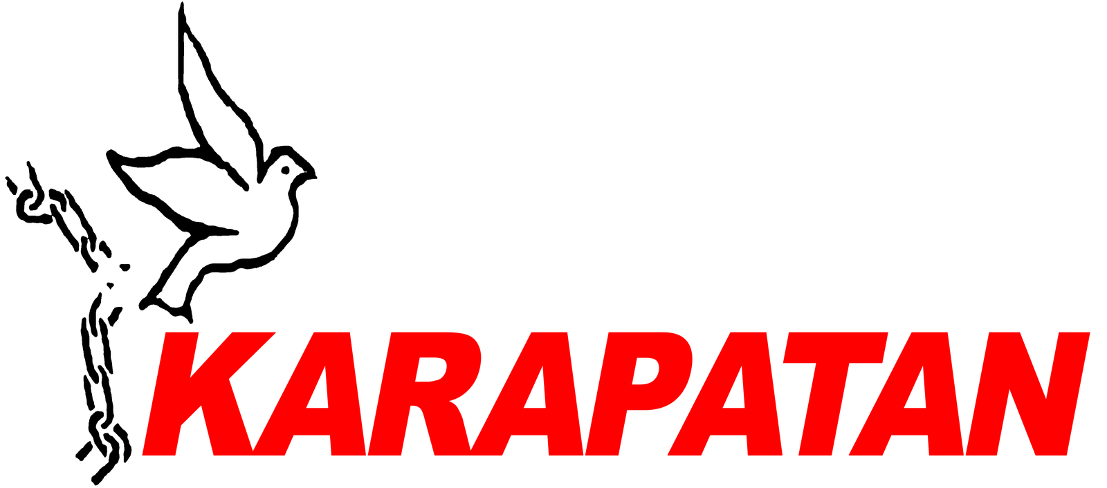 DDoS attacks target the Philippine human rights alliance Karapatan