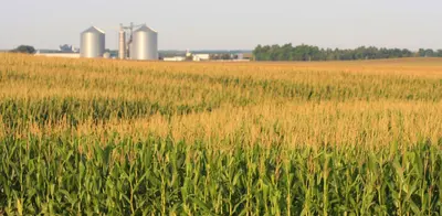 Farming group hit with BlackMatter ransomware