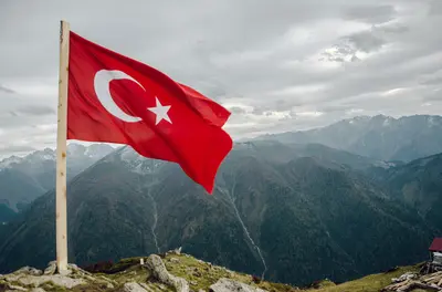 PayPal and Twitter abused in Turkey relief donation scams